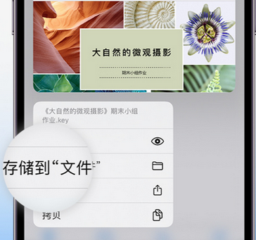 芗城apple维修中心分享iPhone文件应用中存储和找到下载文件