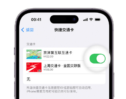 芗城apple维修点分享iPhone上更换Apple Pay快捷交通卡手绘卡面 