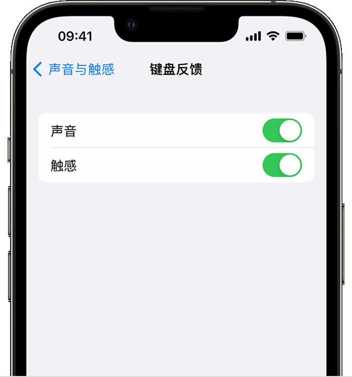 芗城苹果14维修店分享如何在 iPhone 14 机型中使用触感键盘 