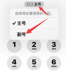 芗城苹果14维修店分享iPhone 14 Pro Max使用副卡打电话的方法 