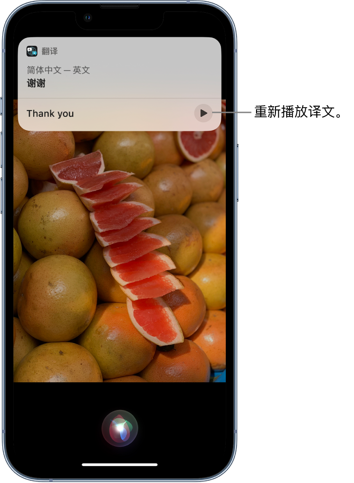 芗城苹果14维修分享 iPhone 14 机型中使用 Siri：了解 Siri 能帮你做什么 