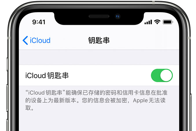 芗城苹果手机维修分享在 iPhone 上开启 iCloud 钥匙串之后会储存哪些信息 