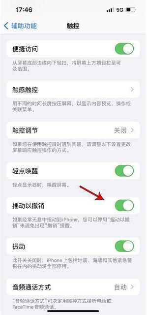 芗城苹果手机维修分享iPhone手机如何设置摇一摇删除文字 