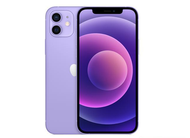 芗城苹果手机维修分享现阶段要不要入手紫色版iPhone12 