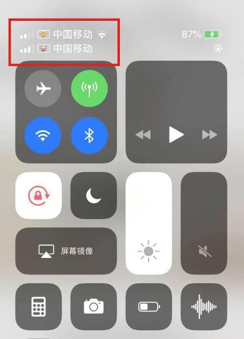 芗城苹果手机维修分享为 iPhone 12 双卡设置标签 